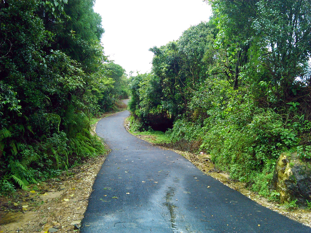Implementation of Black Topping of Rural Roads Scheme in various Districts of Meghalaya Image-13