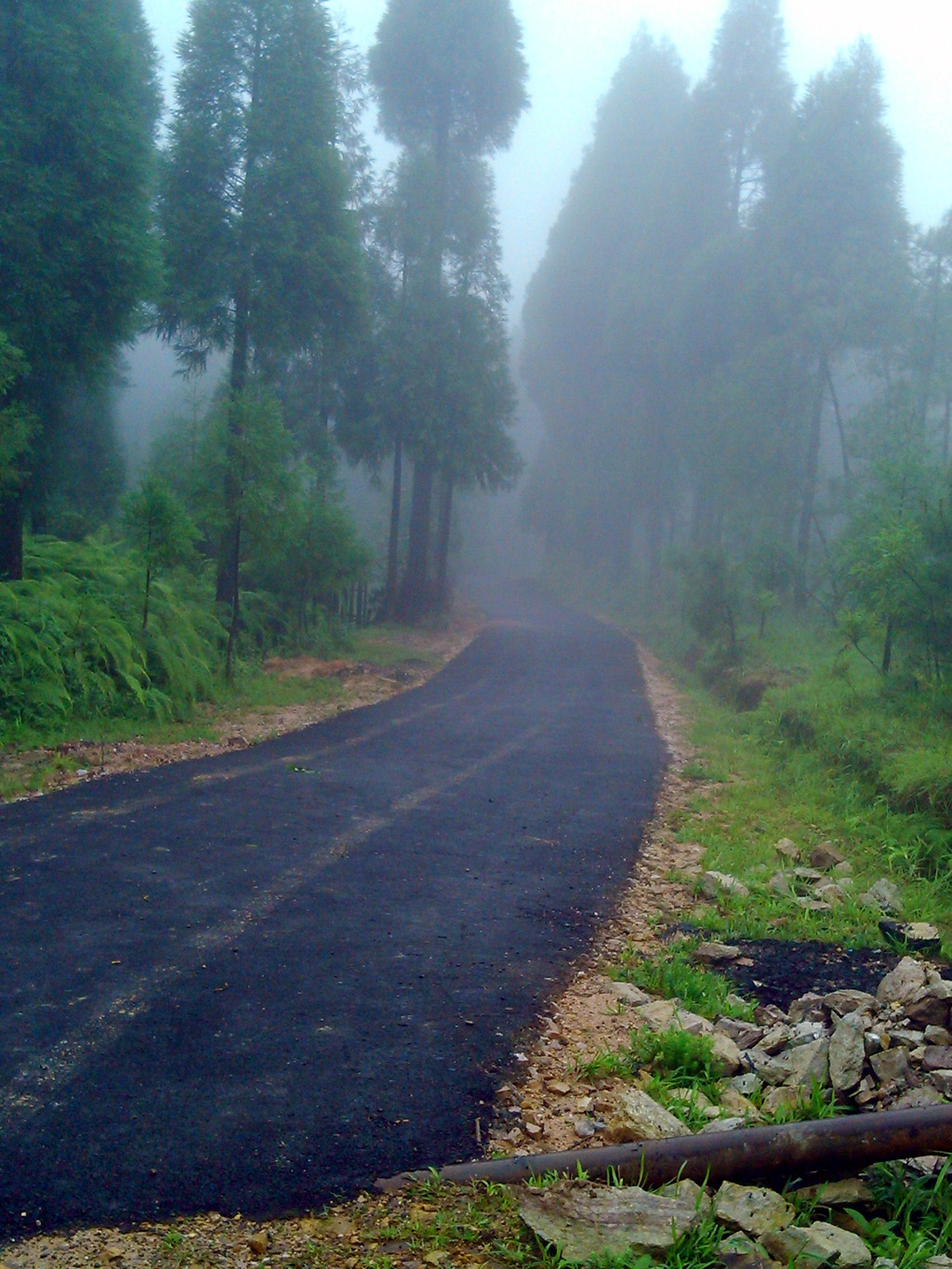 Implementation of Black Topping of Rural Roads Scheme in various Districts of Meghalaya Image-17