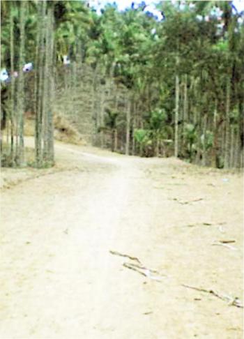 West Garo Hills Image-01
